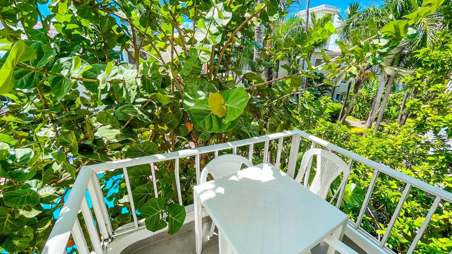Sol Caribes Beach Studios Suites Wifi Hotel Los Corales Bavaro La Altagracia Beach Club & Spa Punta Cana
